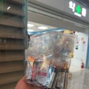 스위스여행: 융프라우, 융프라우요흐 전망대 관람 후기 | 복장 &amp; 준비물 TIP