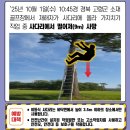 SK에너지㈜태양에너지 | [사고사례] 2025년 10월 중대재해 사례 (산재 사망 노동자)