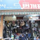 강전사
