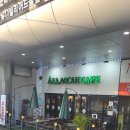 나인스에비뉴 | 카페 추천 서울 구로구 구로동 '올어바웃차'(ALL ABOUT CAFE)