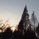 부곡근린공원 이미지