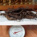 월영동255 이미지