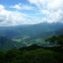 영산약품 이미지