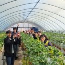 조안 농장 이미지