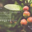 [하나님의 교회 설교] 사랑은 하나님께로부터 온다 이미지