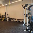 운동하는 코끼리 이미지