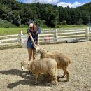 서호목장 이미지