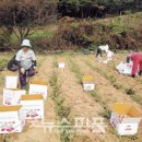 용면사무소 이미지