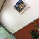 역곡서울약국 이미지