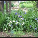 함지초등 이미지