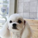 두산동물병원 이미지