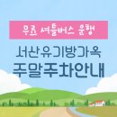3월 | 서산유기방가옥 수선화 24.03.27. 방문후기 개화상황 화장실 주차장 부대시설 정보