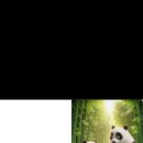 디지털콘텐츠 만들기 | 제미나이로 그림동화책 만들기 ✨ AI로 직접 만든 나만의 동화책