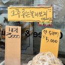 마음만은 22살인 25살의 개강주 블로그