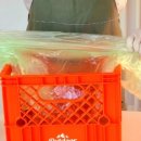 거제면 읍내로56 ~ 읍내로2길3일원 | 농촌여행 주간 지역축제와 연계한 농촌여행 코스
