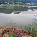 용강제 - 1473 | 용강제