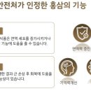 천지홍삼 이미지