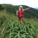 오서산(주차장) 이미지