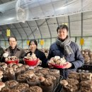 행정농장 이미지