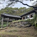 다원약국 | [서산] 고즈넉한 분위기에서 즐기는 차 한잔🍵, 도비산다원