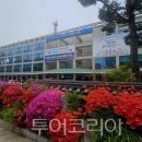 행복한체험서울지사 투어코리아