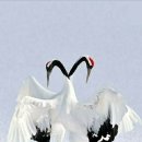 세일주유소 화장실 이미지