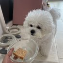 올데이멍 이미지