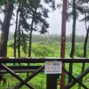 마이앤트세라 이미지