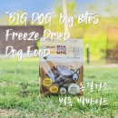 Big Dog(빅독) 이미지