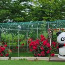 빵빵키즈풀빌라 이미지