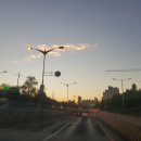 안산 센트럴 동물병원 이미지