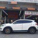 모모유통 이미지