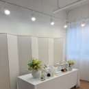 다함 | 산본역 아기 100일 사진 스튜디오 추천 스튜디오 다함 내돈내산 후기