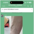 샤르네 이미지