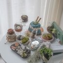 대구환경 | 대구 도우아트지도사 자격증 과정 후기｜발포세라믹 친환경 공예 수업