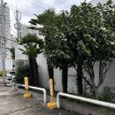 백두산장어 | 거제 중곡 카페 홀드커피 | 시그니처 음료 후기