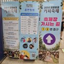 2026 경춘선 공릉 숲길 커피축제 후기, 노원구 축제 행사 찾는다면?