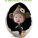 문솔