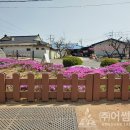 어썸조경 이미지