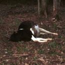 진실농장 이미지