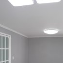 한동그린 이미지