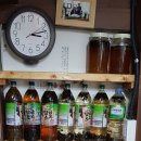 삼척항 해오름 민박 이미지