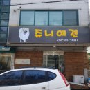 쥬니애견 이미지