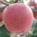 약수골 농장 이미지