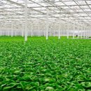 (주)에이앤팜 이미지