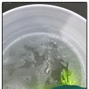 청지기모터스 이미지