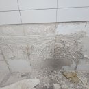 망원 성원 2차 아파트 | 마포구 아파트 욕실 덧방 타일 들뜸 벽보수