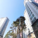 더샵포레공인중개사사무소 이미지