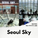 알마로꼬 | 서울 데이트 장소 추천 잠실 롯데월드 타워 전망대 서울스카이 할인
