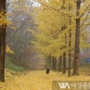 하반기 타박타박 인천 이미지